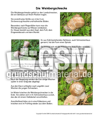 Weinbergschnecke-Steckbrief.pdf